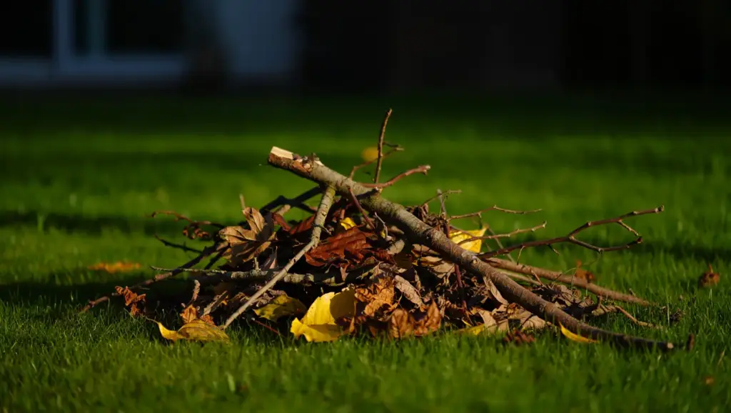 Organic Yard Waste Debris